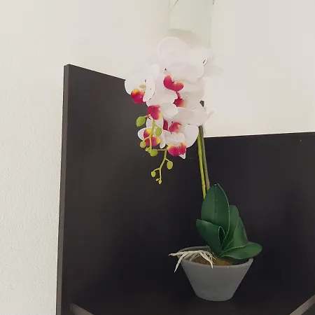 Apartamento Mia With Pool1