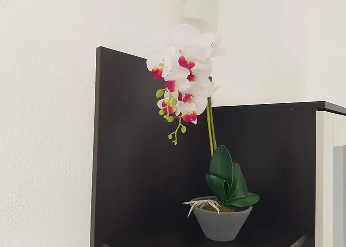 Apartmán Mia With Pool1